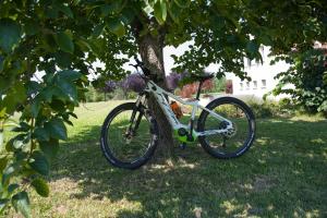 瓦伦扎Cascina San Giorgio的停在树下的草地上的自行车