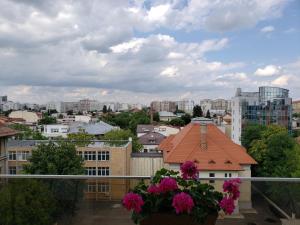 布加勒斯特Urban Nest Apartment的鲜花阳台享有城市美景。