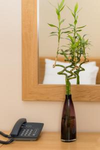 泰托沃里拉克酒店的手机旁的花瓶里装有植物