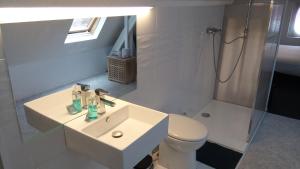 伊普尔Résidence Surmont的一间带水槽、卫生间和淋浴的浴室