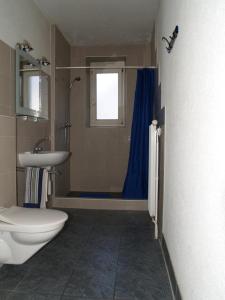 因特拉肯因特拉肯沃特斯旅馆的浴室配有卫生间、盥洗盆和淋浴。