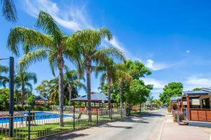 米尔迪拉米尔迪拉四季假日公园的游泳池旁的棕榈树围栏