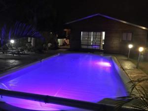 Saint-Gilles-les HautsGéranium et Manguier Guest House的游泳池在晚上点亮,紫色灯