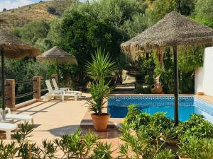 Pinos del ValleJardin Andaluz Appart Alhambra的一个带椅子和遮阳伞的游泳池的度假酒店