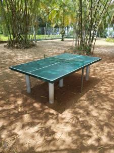 阿西尼African Queen Lodge的公园中央的乒乓球桌