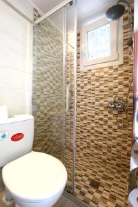 阿吉亚玛丽娜Hotel Karyatides的一间带卫生间和淋浴的浴室
