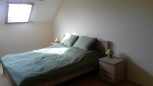 久洛Hold-on apartman的一间卧室配有一张带绿色床单的床和一扇窗户。