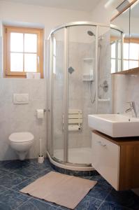 彼得斯堡Schupferhof的带淋浴、卫生间和盥洗盆的浴室