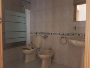 托塔纳Apartamentos la Bastida的一间带卫生间和水槽的浴室
