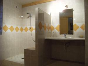 Saint-Amand-de-Coly拉尔诺迪住宿加早餐旅馆的带淋浴、盥洗盆和镜子的浴室