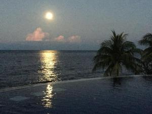 图兰奔托雅巴利潜水放松假日公园的满月的海洋,棕榈树