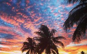 塔伊切Casa Albryna Lanzarote Rural Villa, Pool Wifi的天空中棕榈树的日落