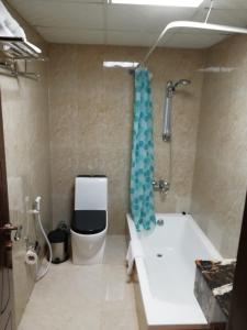 海塞卜迪万阿尔阿米尔酒店的带浴缸、卫生间和淋浴的浴室。