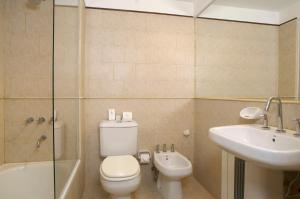 乌斯怀亚席琳德尔法鲁水疗套房酒店的浴室配有卫生间、盥洗盆和淋浴。