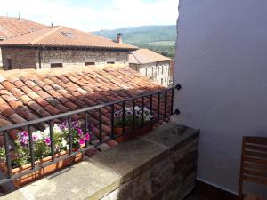 比努埃萨Posada Rural La Piñorra的阳台设有鲜花围栏