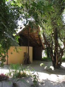 卡蒂马穆利洛Caprivi Houseboat Safari Lodge的树旁的木屋顶建筑
