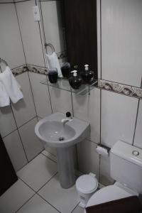 格拉玛多Apartamento Bella Vista Gramado的一间带水槽和卫生间的小浴室
