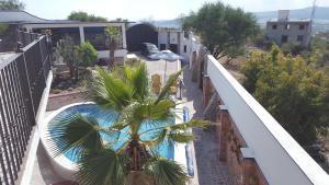 Santa Rosa de JáureguiLa Casona Azul Bed n Breakfast的一个带棕榈树和游泳池的阳台