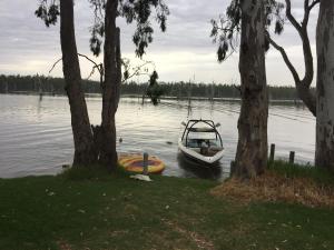 BundalongBundalong Waterfront的两棵树旁边的水中的小船