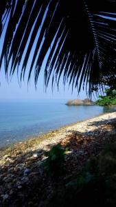 象岛棕榈树天堂度假酒店的从棕榈树上欣赏海滩美景