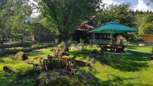 VistisoaraCasa Bunicului的一个带野餐桌和遮阳伞的花园