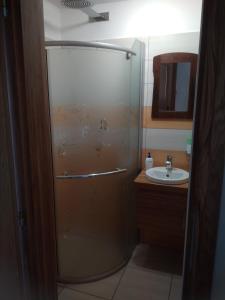 Borovná波罗乌内迪乌德酒店的带淋浴和盥洗盆的浴室