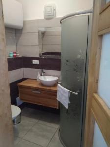 Borovná波罗乌内迪乌德酒店的一间带水槽和卫生间的小浴室