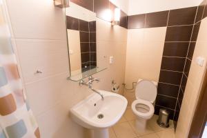 Vrbovec弗尔博韦茨酒店的一间带卫生间和水槽的浴室