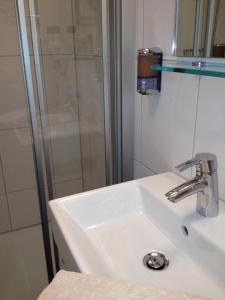 安特拉格里Hotel Freihof Swiss Lodge的一间带水槽和淋浴的浴室