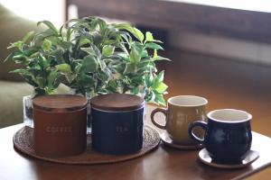 富士河口湖晴家(HALELUYA)旅馆的桌上有三杯咖啡和盆栽