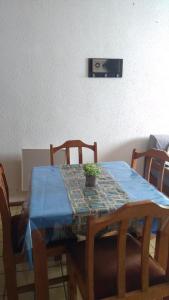 拉斯莱尼亚斯Rodas - Las Leñas的一张桌子,上面有蓝桌布和植物