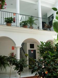罗塔Casa Atlantica的一座种植盆栽植物的建筑中的楼梯