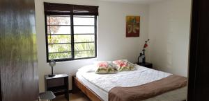 Luna ParkFinca Cafe Bernal的一间小卧室,配有床和窗户