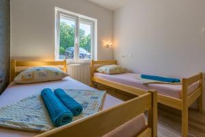 茨里克韦尼察Apartmani Lucić的一间卧室设有两张带蓝色床单的床和窗户。