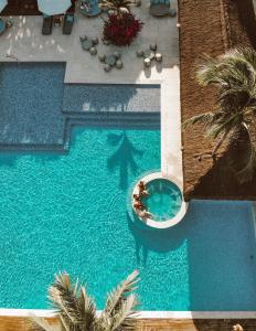 圣安德烈Campo Bahia Hotel Villas Spa的游泳池的顶部景色,有人躺在椅子上