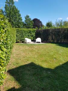 SuameerDe Friese Wouden的两把白色椅子坐在院子里的草地上