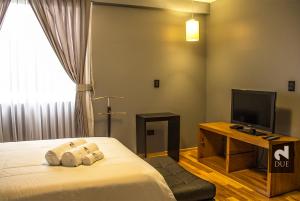 特鲁希略度艾酒店的一间酒店客房,配有一张床和一台电视
