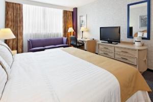 蒙特雷方迪多拉蒙特雷公园假日酒店的酒店客房设有一张大床和一台电视机。
