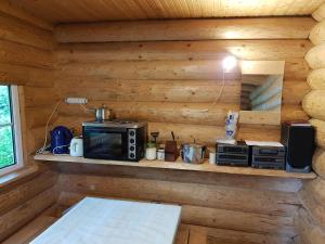 JõesuuSoomaa Water Camp的厨房配有炉灶和架子上的微波炉