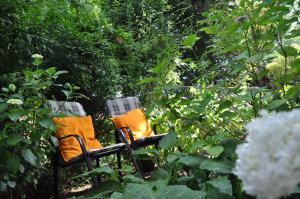 ObernhainFerienwohnung am Waldrand的两把椅子坐在树木繁茂的花园中