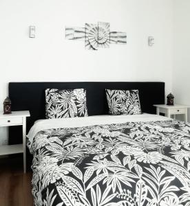 米尔芳提斯城Pirata hostel Milfontes的卧室配有带枕头的黑白床。