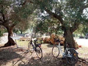 阿尔贝罗贝洛B&B Sull'Aia的两辆自行车停在树旁