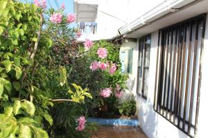 圣安德烈斯圣安德烈斯布鲁阿蒙德旅舍的一座花园,在一座建筑的一侧种植了粉红色的花卉