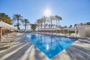 帕尔马海滩普拉亚高尔夫酒店的一个带椅子和棕榈树的大型游泳池