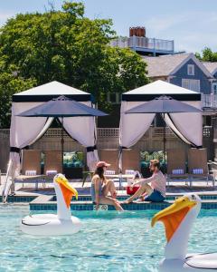 楠塔基特The Nantucket Hotel & Resort的一群人坐在游泳池里,在水中长着天鹅