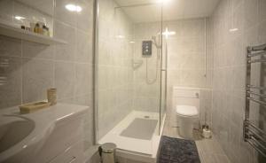 Tilbrook萨默菲尔德农场公寓的带淋浴、卫生间和盥洗盆的浴室
