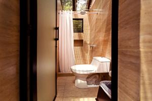 蒂卡尔蒂卡尔丛林旅舍的一间带卫生间和淋浴的浴室