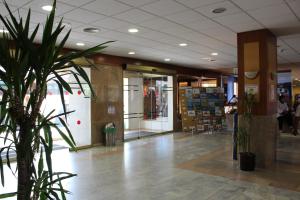 布拉内斯伊思普蓝迪酒店的楼里带盆栽的走廊