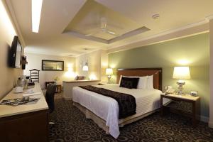萨卡特卡斯阿萨卡特卡斯帝王酒店的配有一张床和一张书桌的酒店客房