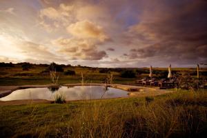 阿马卡拉保护区Hlosi Game Lodge - Amakhala Game Reserve的田间中的小池塘